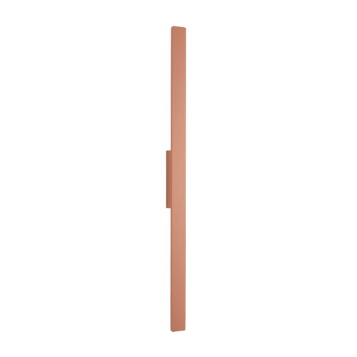 11557.jpg