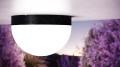 nzvhy9aqv4evo3ft46js4twly03j7eev.jpeg