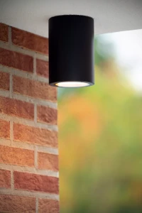 VOLANTIS 27107/01/30 oprawa sufitowa zewnętrzna E27 czarna