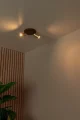 09942-12-02 sf1.webp