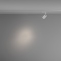mai3i8xjyvz13nnr4vhqc2tnv4fsc65i.jpeg