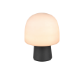 568200132_4.png