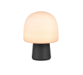 568200132_5.png