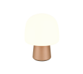 568200165_4.png
