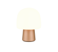 568200165_5.png