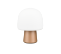 568200165_7.png
