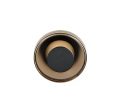 254910132_3.png