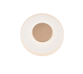 254910165_2.png