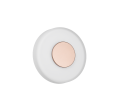 254910165_4.png
