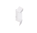 248510231_1.png