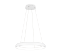 349617531_1.png