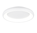 649616031_1.png