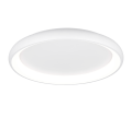 649617531_1.png
