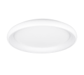 649617531_2.png