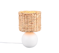 518900101.png