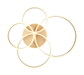 632210479_2.png
