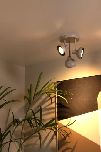 30997-13-38 sf1.webp