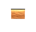 255510130_1.png