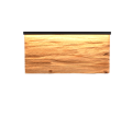 255519130_1.png