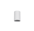 264300131_6.png