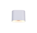 266100131_2.png