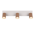 867700365_1.png