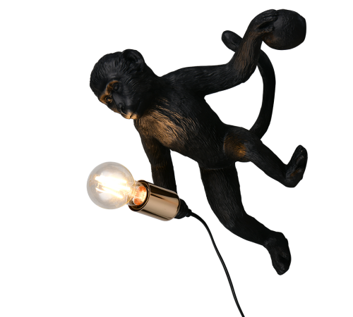 R26541002.png