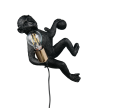 R26541002_3.png