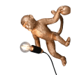 R26541079.png