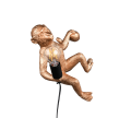 R26541079_3.png