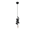 R36551002.png