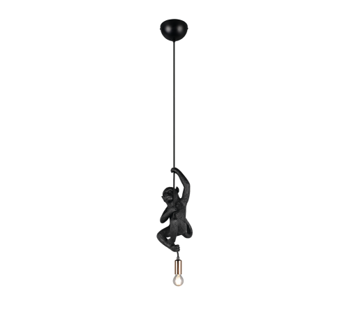R36551002.png
