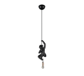 R36551002_1.png