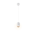 R36311031.png