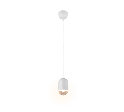 R36311031.png