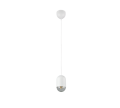 R36311031_3.png