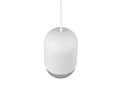 R36311031_5.png