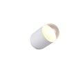 R56311031_2.png