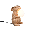 R56511079.png