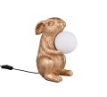 R56511079_1.png