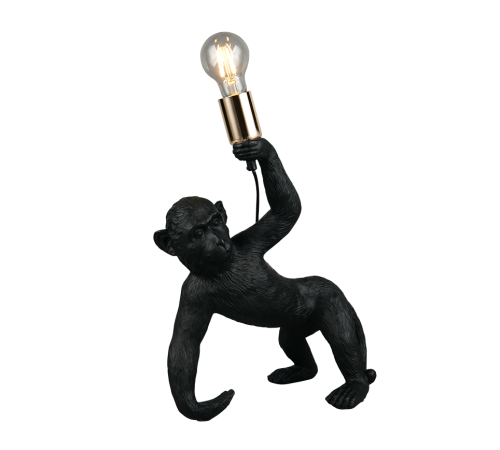 R56561002.png