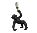 R56561002_1.png