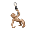 R56561079.png