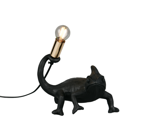 R56581002.png