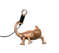 R56581079.png