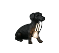 R56601002.png