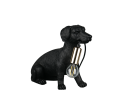 R56601002_1.png