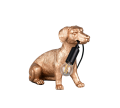 R56601079_1.png