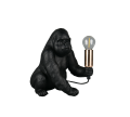 R56611002_1.png