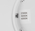 R65891931_2.png